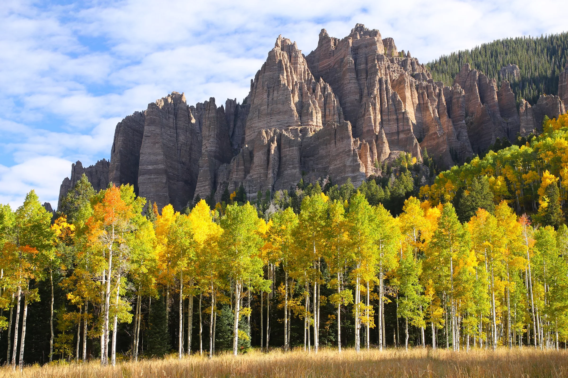 Capture stunning Colorado Fall color photos with Don Mammoser