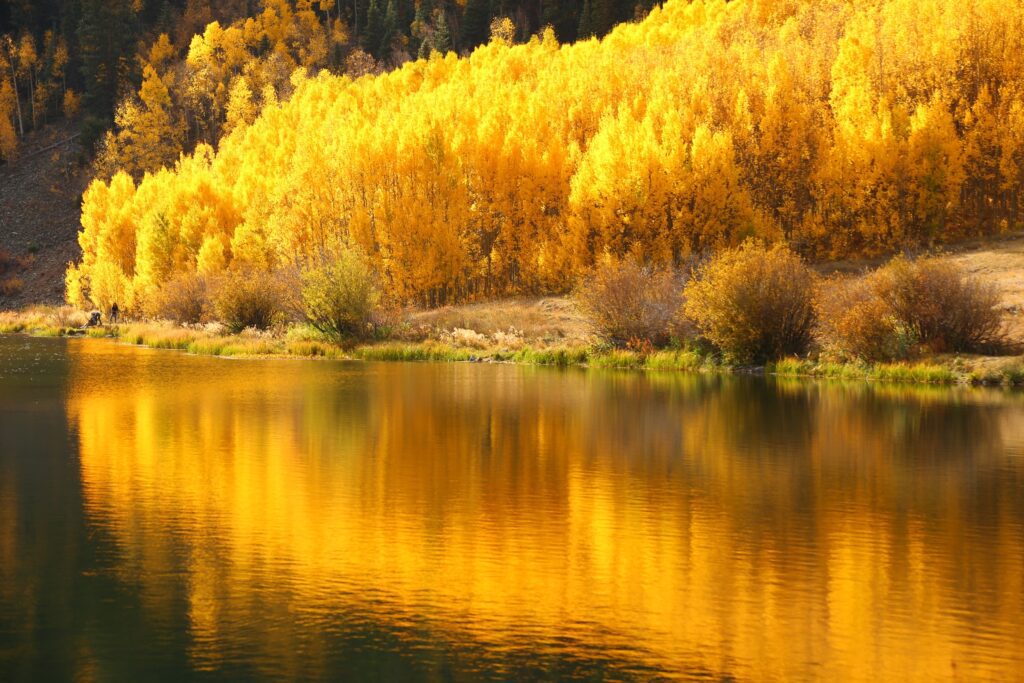 Colorado Fall Color photo tours with Don Mammoser