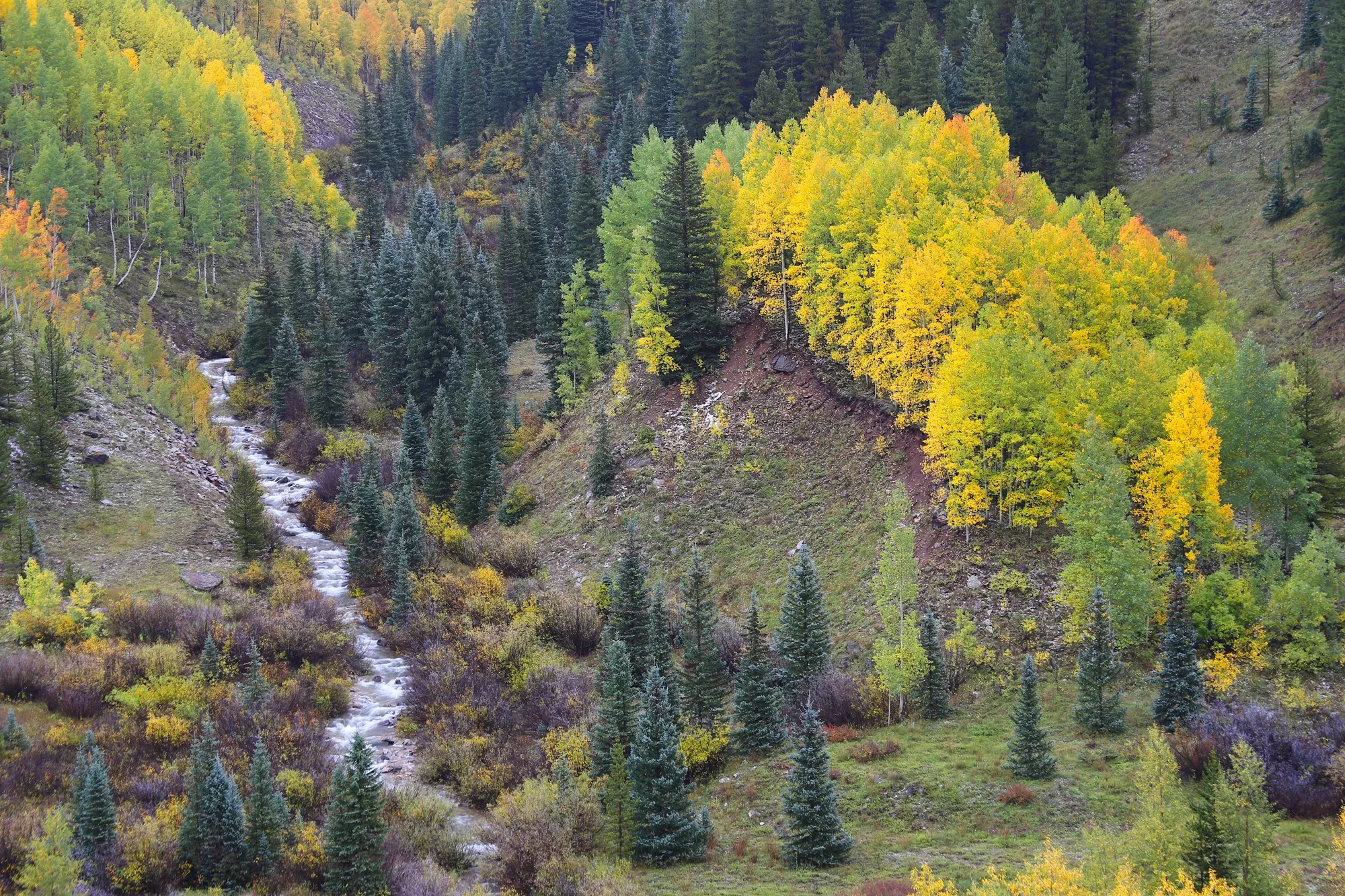 Colorado Fall color photo workshop