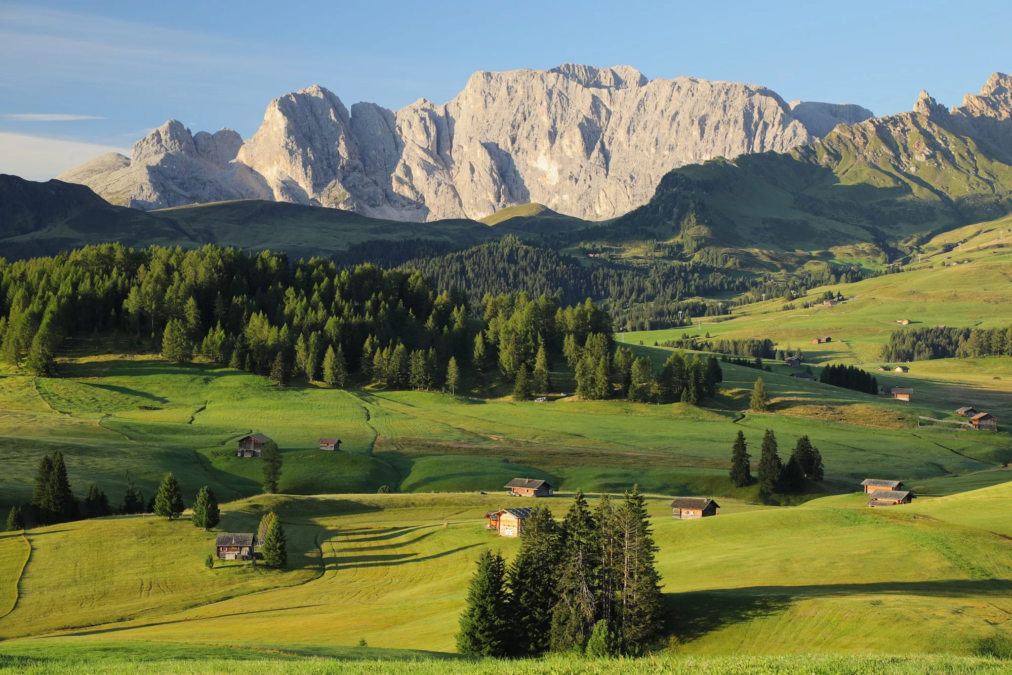 Venice and the Dolomites guided photo safari- Alpe di Suisi