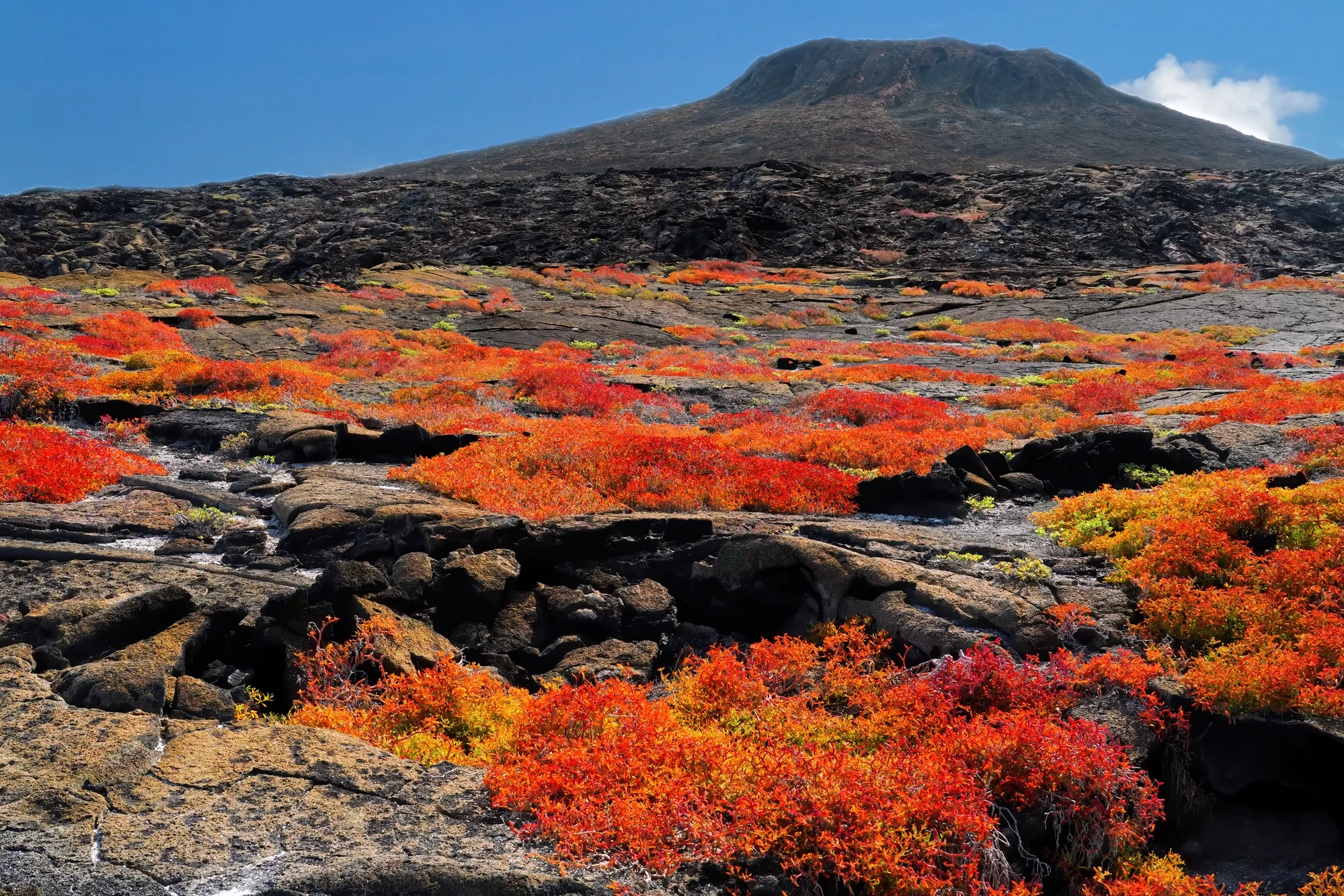 Galapagos Islands Yacht-Based Tour & Guided Photography Experience - scenic volcano