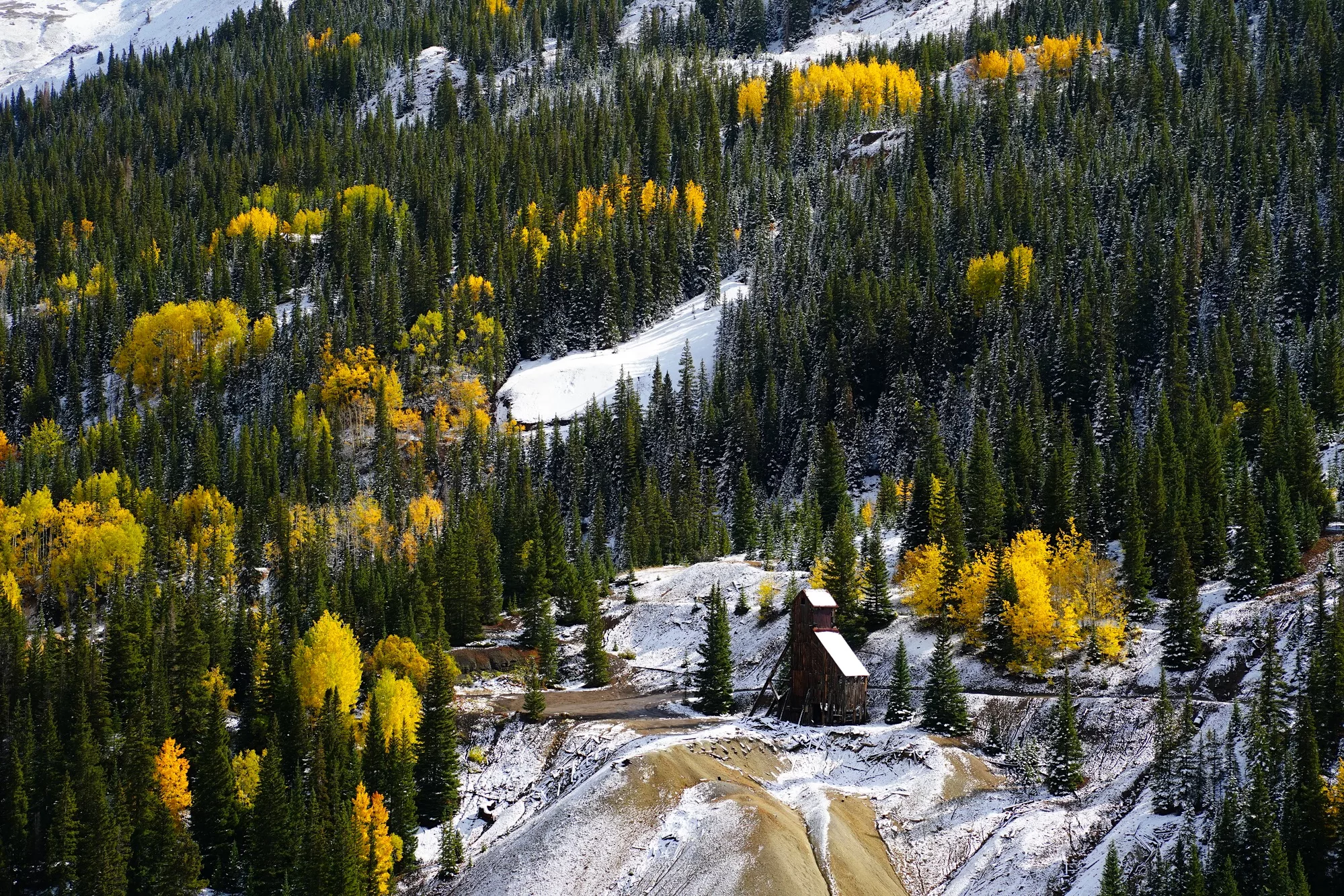 Don Mammoser Colorado Guided Photography Tour snowy mountains and Aspen trees