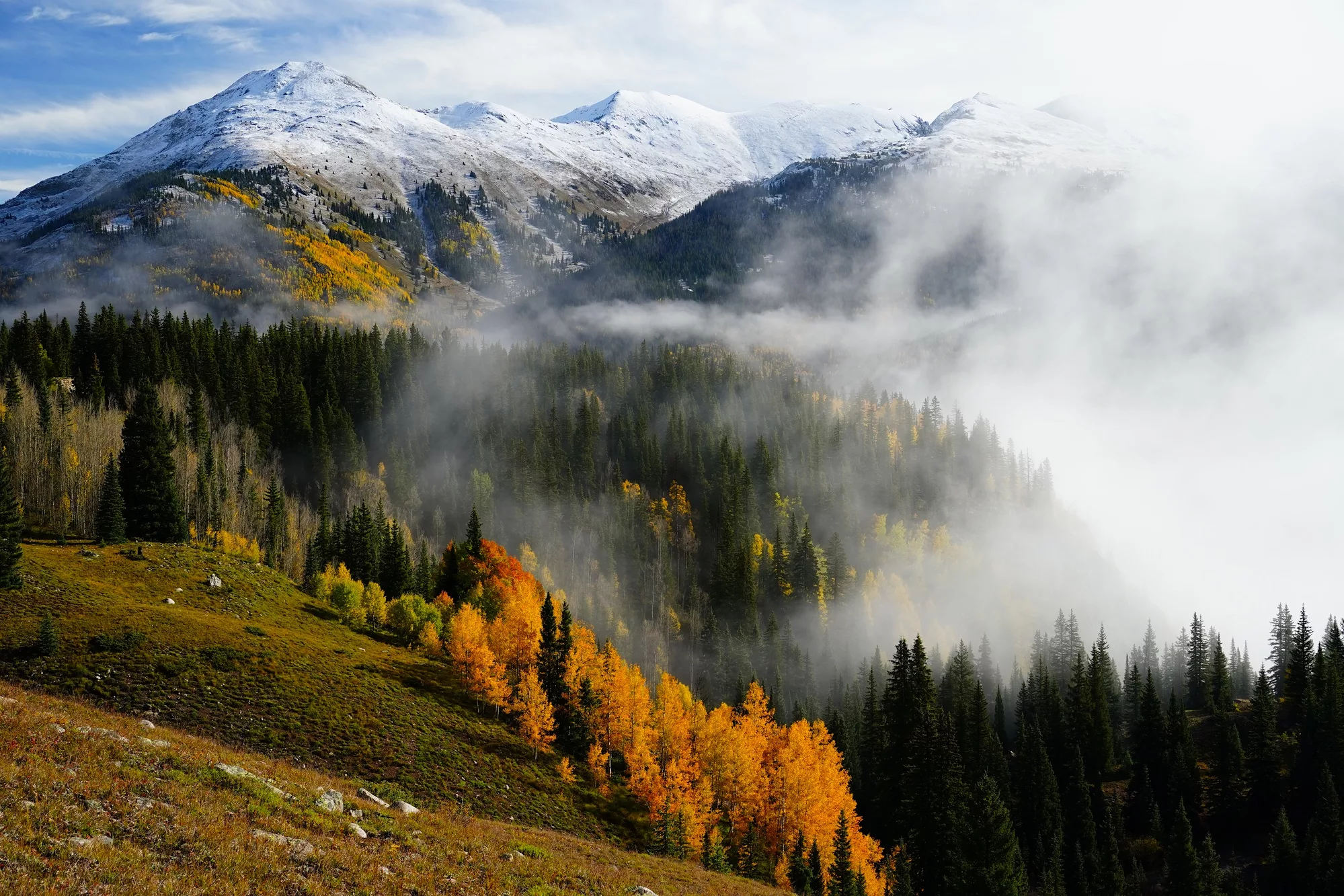 Upcoming Guided Photography Tours view of fall trees and snow on mountains with fog