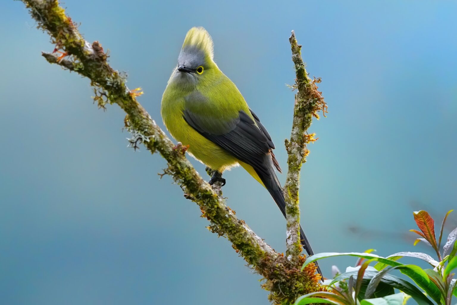 Guided photo tour to Costa Rica with Don Mammoser