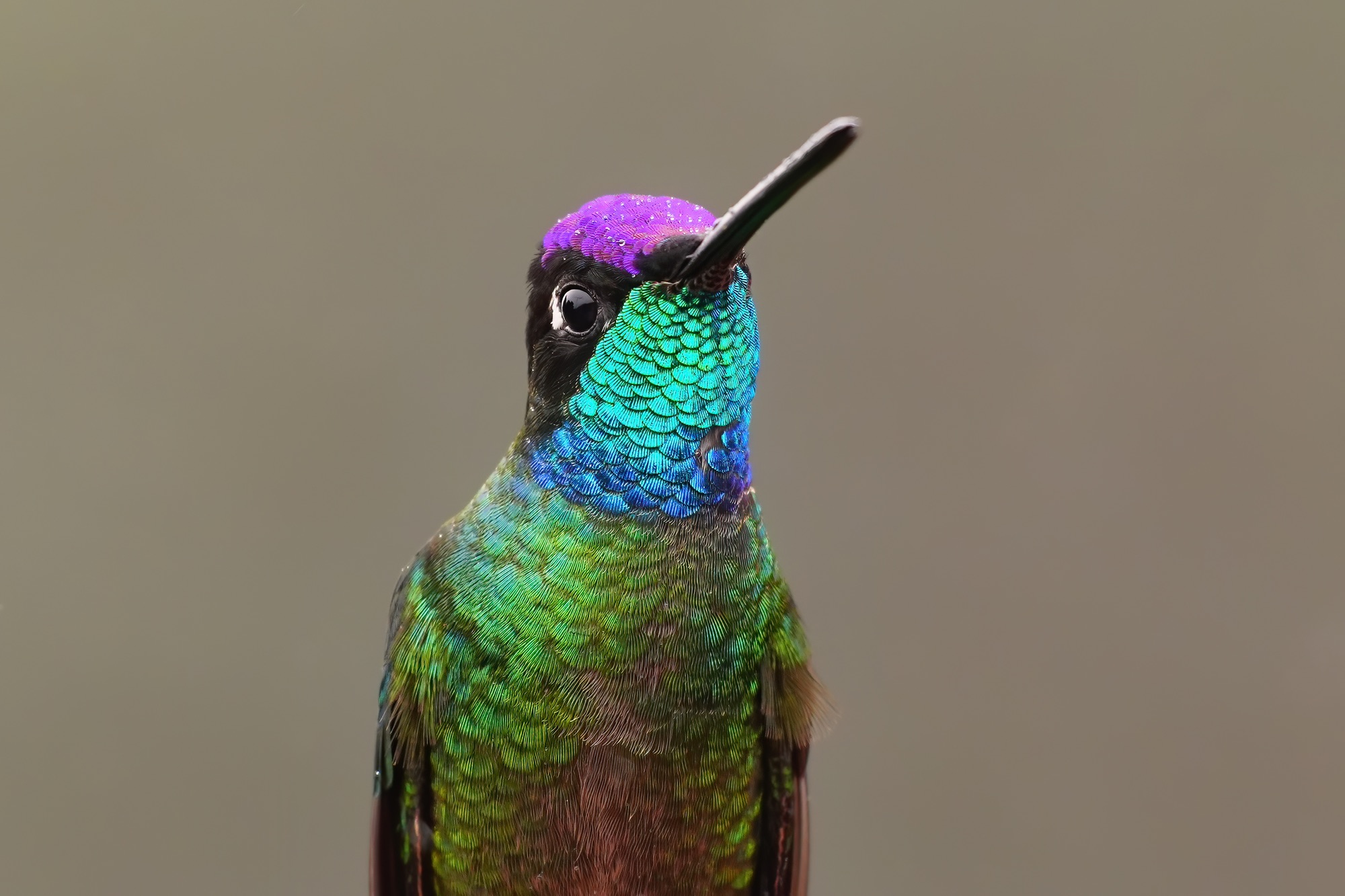 Costa Rica photo tour with Don Mammoser