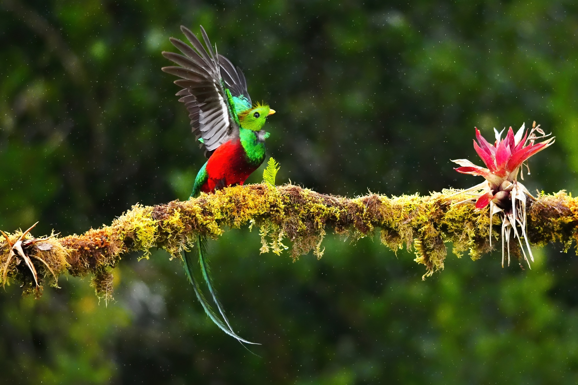 Costa Rica photo tour with Don Mammoser