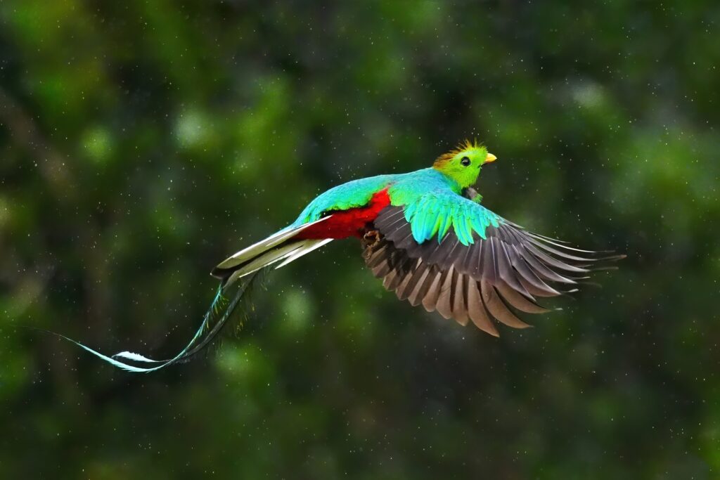 Costa Rica photo tour with Don Mammoser