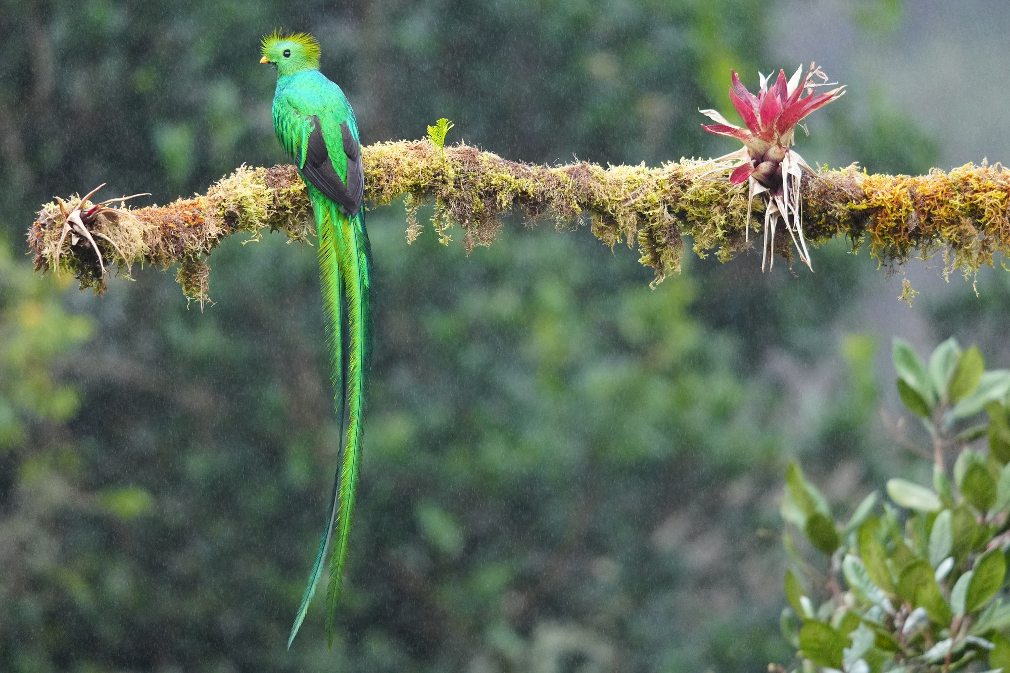 Costa Rica photo tour with Don Mammoser