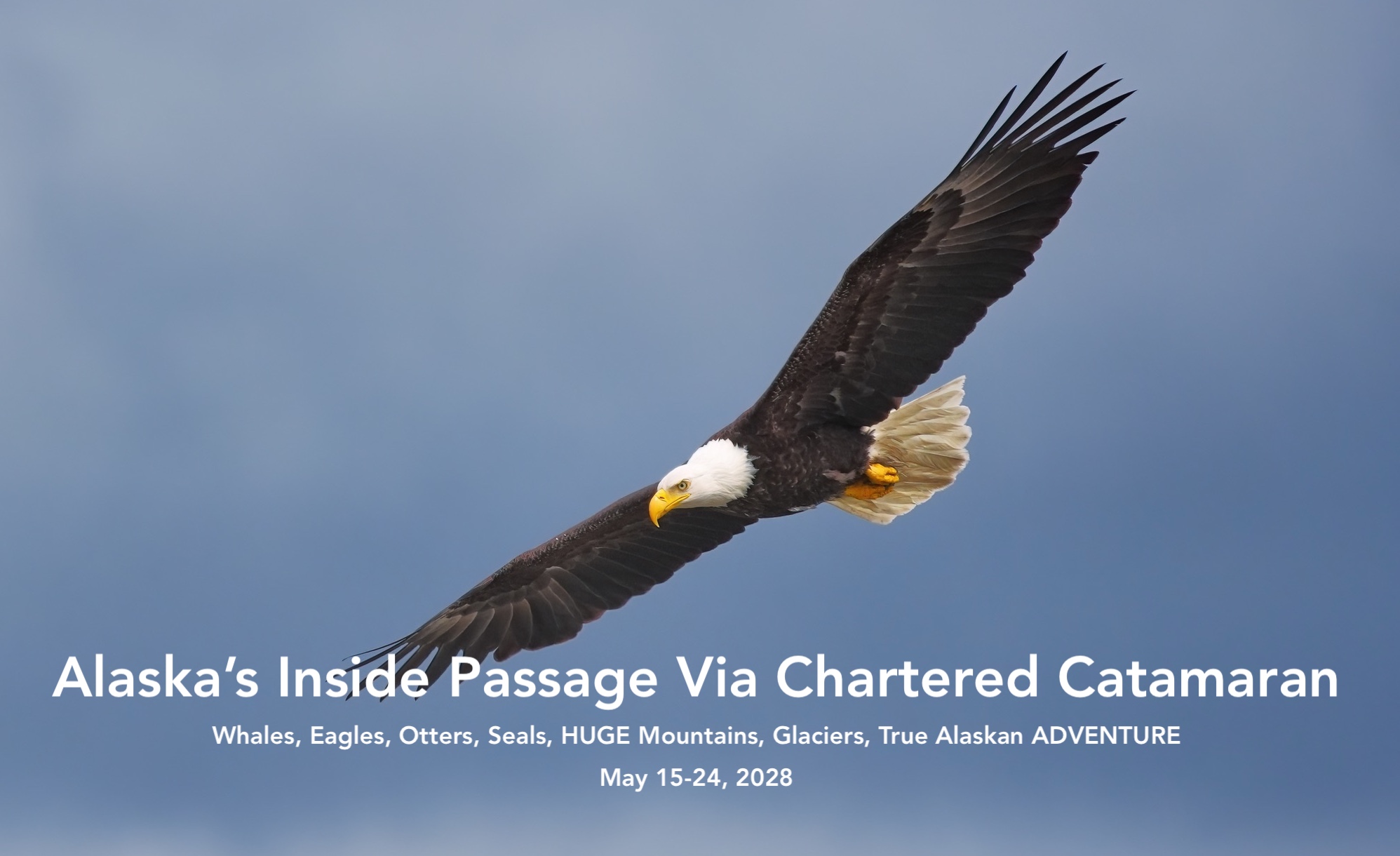 Alaska wildlife photography expedition