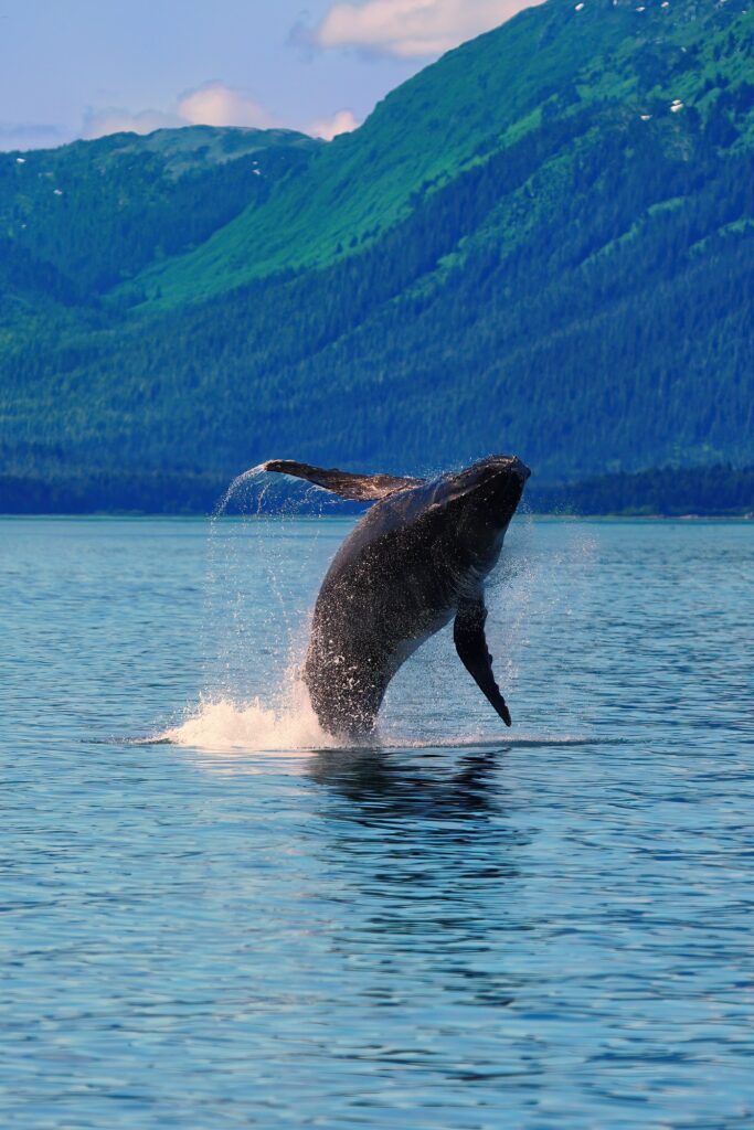 Alaska photo tour
