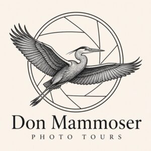 bird and wildlife photography tours